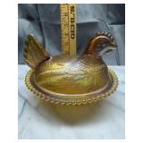 Amber carnival hen on nest