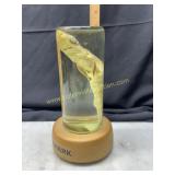 Vintage shark wet specimen