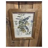 Bird and botanical print