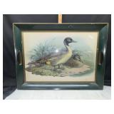 Vintage tray with drake and hen print bottom