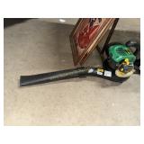Leaf blower
