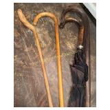 Walking sticks and umbrella