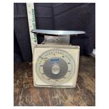 Hanson Dietetic scale