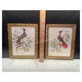 Pair of small framed Mexican feather art birds