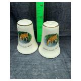 White cloud, Michigan salt and pepper shakers