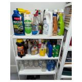 Shelf with lawn and garden and household chemicals