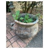 Terracotta planter pot BUYER IS RESPONSIBLE FOR REMOVAL
