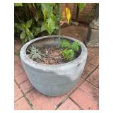 Round concrete bowl planter BUYER IS RESPONSIBLE FOR REMOVAL
