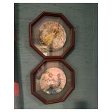 Pair of collector plates in shadow boxes