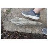 Large Specimen of Petrified Wood Log with Visible Grain
