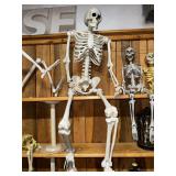 Large Posable skeleton decoration