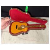 American girl acoustic guitar and case set