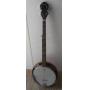 Fender 5 String Banjo
