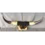 21" Mounted Bull Horns & Feet