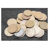 (30) Indian Head Cents Back To 1893