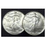 2 Silver Eagles 1990, 1991