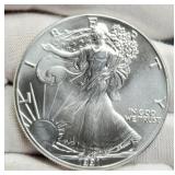 1991 Silver Eagle