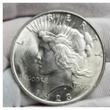 1923 Peace Dollar Unc.
