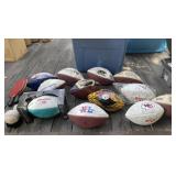 Tote Full of Sports Balls