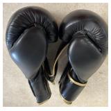 Pair of Boxing Gloves