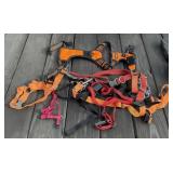 Dog Harnesses, Leashes and Leads