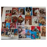 Dog Post Cards Jumbo & Reg size