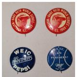 Babe Ruth World Series 1969, Panthers