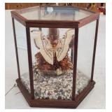 Terrarium with Taxidermy Butterfly