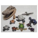 Sea Turtles and Alligator Head