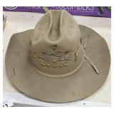 Felt Hat and Hat Pins