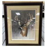 Deer Framed Print