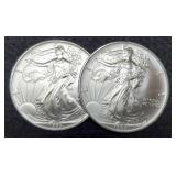 (2) 1993 Silver Eagles