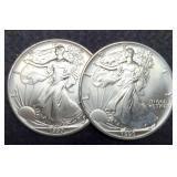 (2) 1990 Silver Eagles