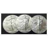 (3) 2021 T2 Silver Eagles