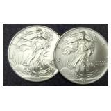 (2) 1993 Silver Eagles