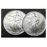 (2) 1993 Silver Eagles