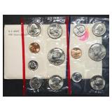 1981 US Double Mint Set in Envelope, With SBAs