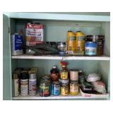 Spray Paint & Garage Chemicals