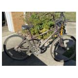 Roadmaster Mountain Climber Bicycle