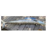 56" Taxidermy Barracuda 56" Taxidermy Barracuda
