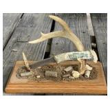 Custom Stag Handle Buck Knife Custom Stag Handle Buck Knife