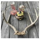 Deer Antlers, Bird Feeders and More Deer Antlers, Bird Feeders and More