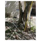 Steel Posts Steel Posts