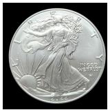 2022 Silver Eagle