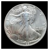 1991 Silver Eagle