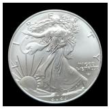 2023 Silver Eagle