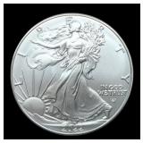2022 Silver Eagle