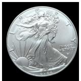 2022 Silver Eagle