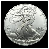 2021 T2 Silver Eagle
