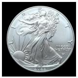 2022 Silver Eagle